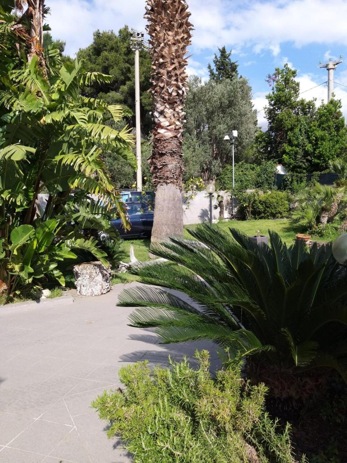 Elena Villa *